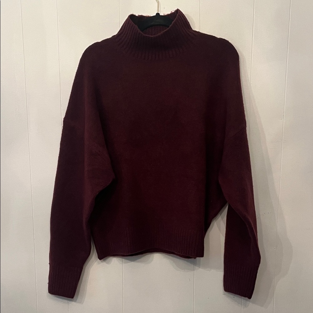 Zara Burgundy Turtleneck Sweater